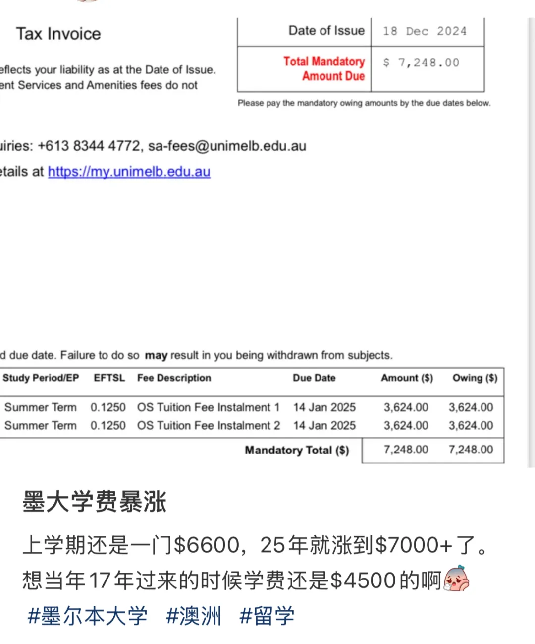 1872779536066215938.webp