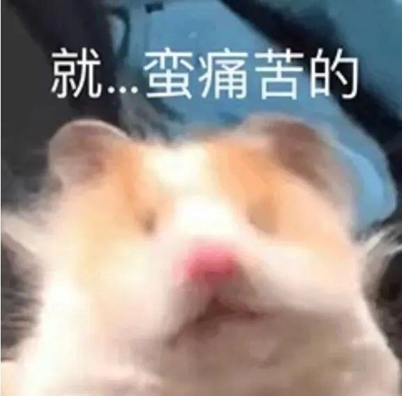 005UJ76vgy1hwzrjufcqij30g10ftgmb.jpg