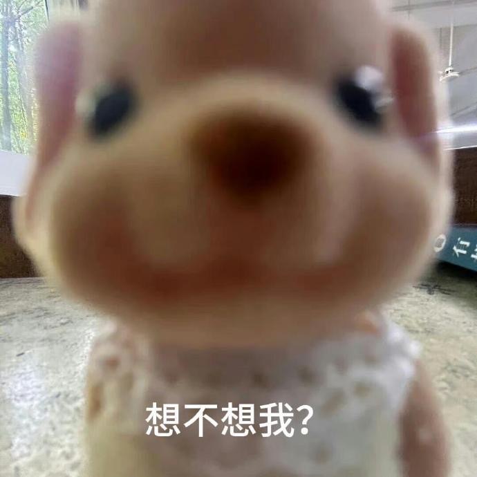 005UJ76vgy1hwzrjxglj2j30j60j6my8.jpg