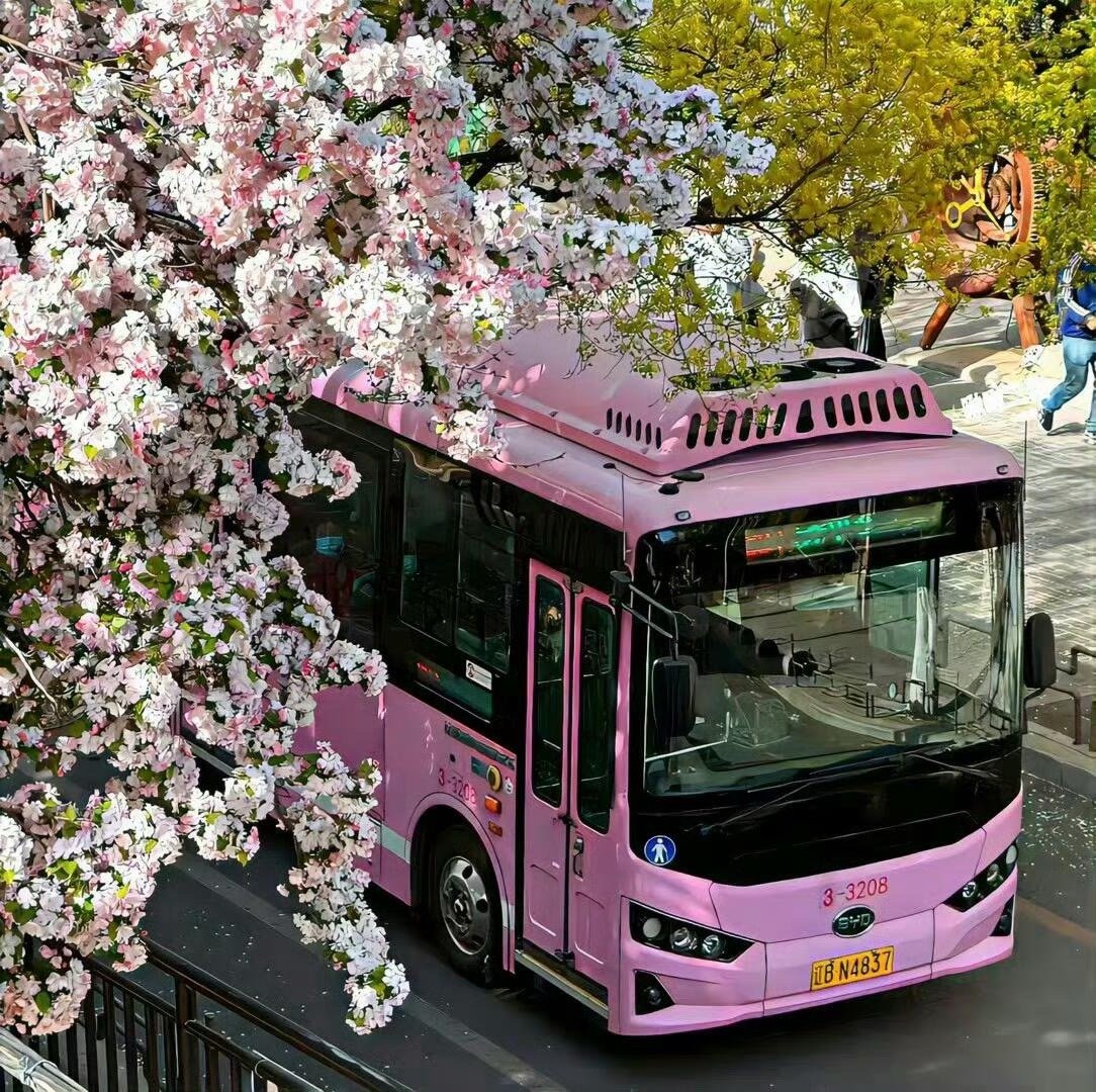 006M3jFugy1hx2pfje5qtj30u40u0wo0.jpg
