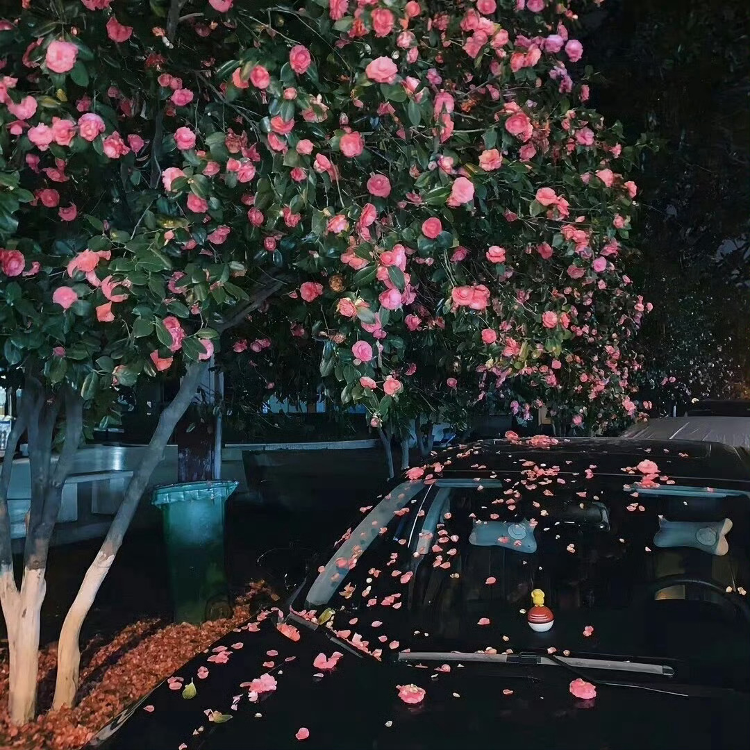 c43d04afgy1hxptm0hebsj20u00u014i.jpg