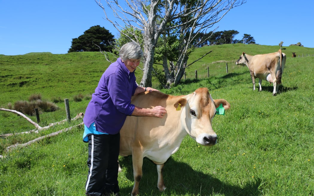 4MFFPGG_Joyce_with_one_of_her_milking_cows_JPG.jpeg