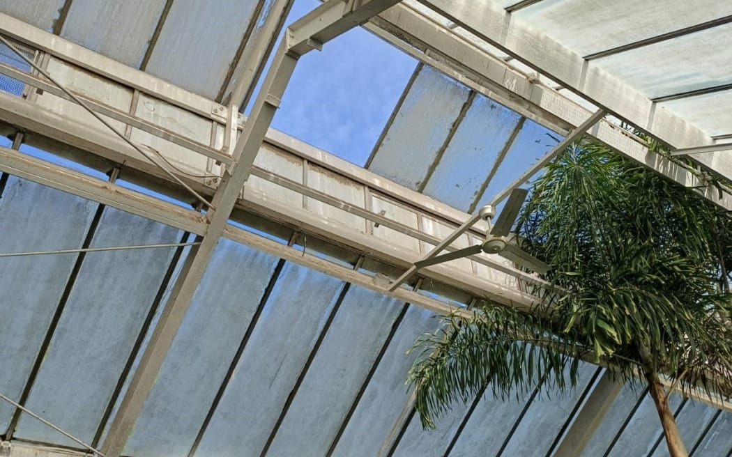 4KR3YRW_BotanicGardensWind_jpg.jpeg