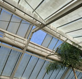 4KR3YRW_BotanicGardensWind_jpg.jpeg