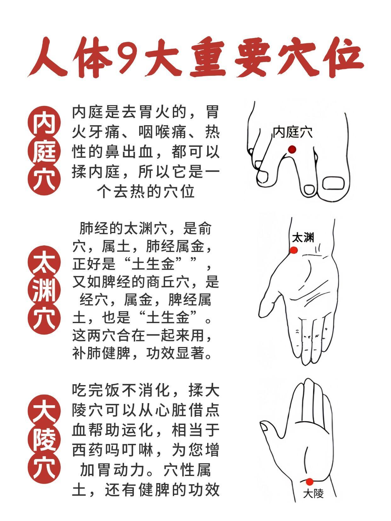img-1738668752806153a451b1b38481ddca98f58647fcfa35c4b7ec5b419c11a2b9f5fa28d0fea0a.jpg