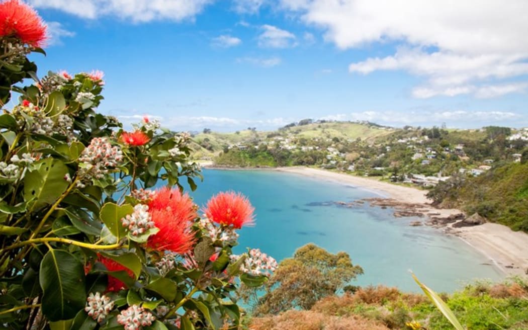 4KCDYDF_AucklandCouncilWaiheke_jpg.jpeg