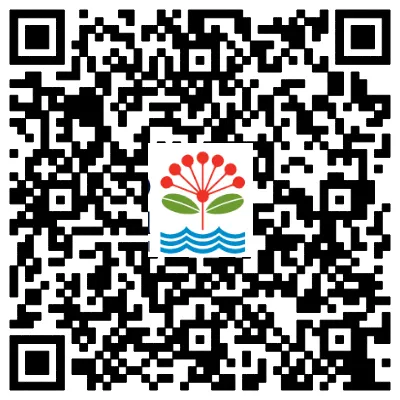 1878972269529202688.webp