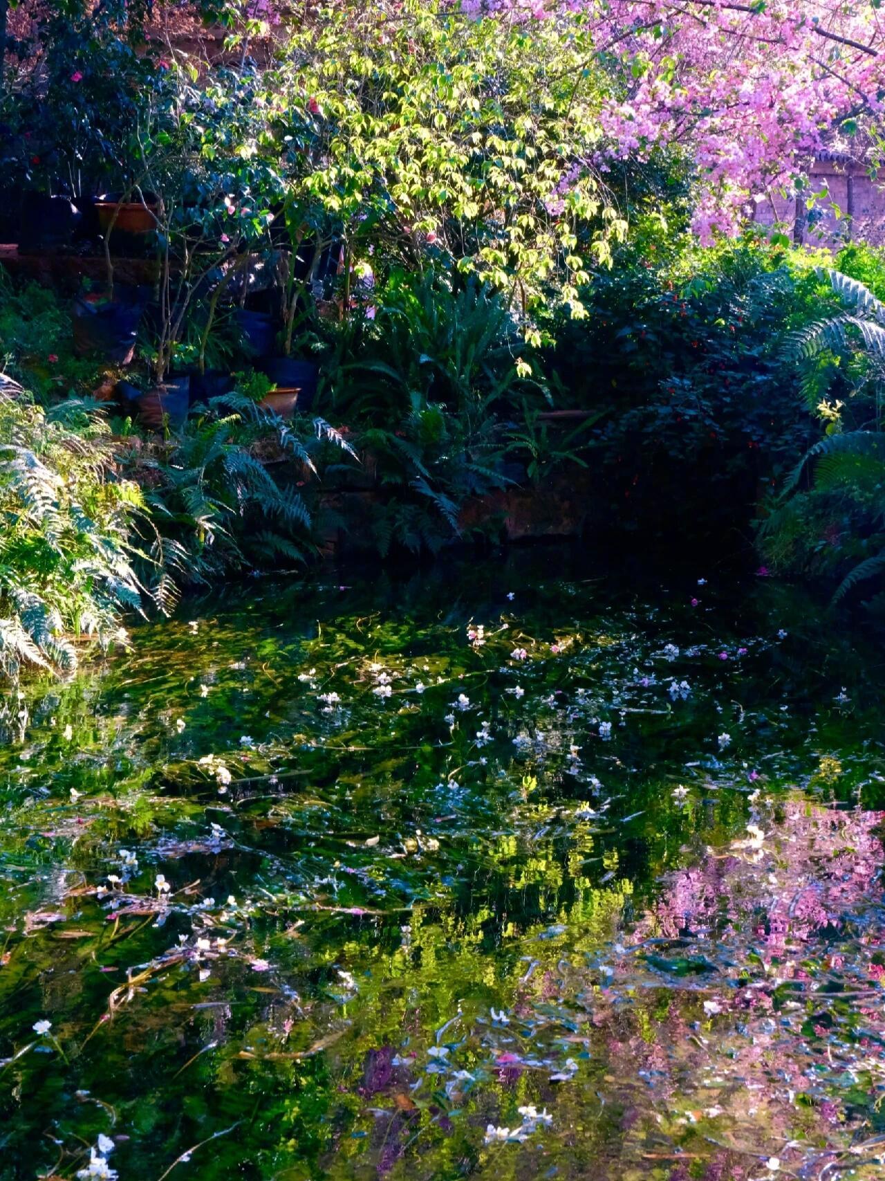 002n4Upcgy1hy3pnbrsh2j60zk1bfant02.jpg