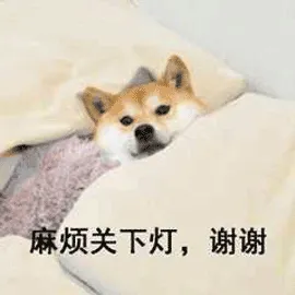 1888070978447671296.webp