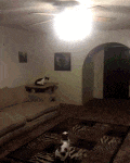 1888070978384756736.gif