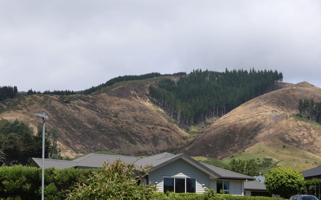 4KB1XA8_Marsden_Valley_Forestry_scaled_jpg.jpeg