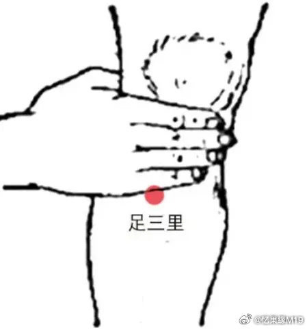 img-1744680395509d89b14fac9efc7579b9406ba5f9e9c2aa051d5b2c4c1ccfe64f39b8b34cfcbe8.jpg
