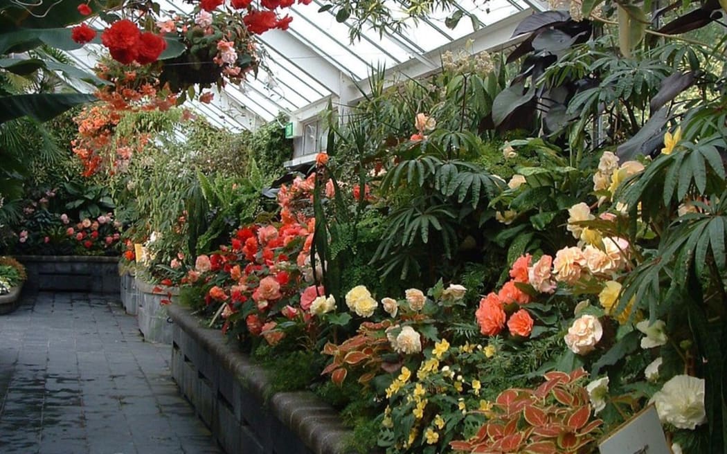 4MLHLLO_image_crop_111056.jpeg