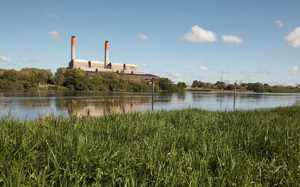 4PCJ6PG_image_crop_3675.jpeg