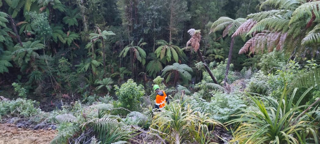 4K389QA_shared_image_5_jpg.jpeg