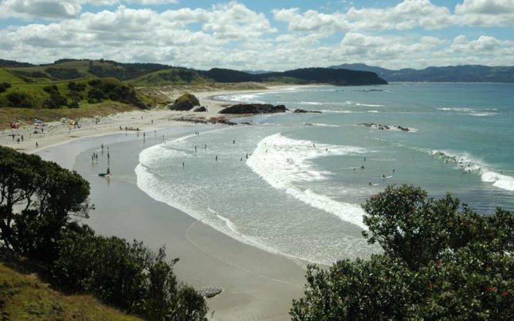 4KFSXA5_tawharanui_regional_park_5_jpg.jpeg